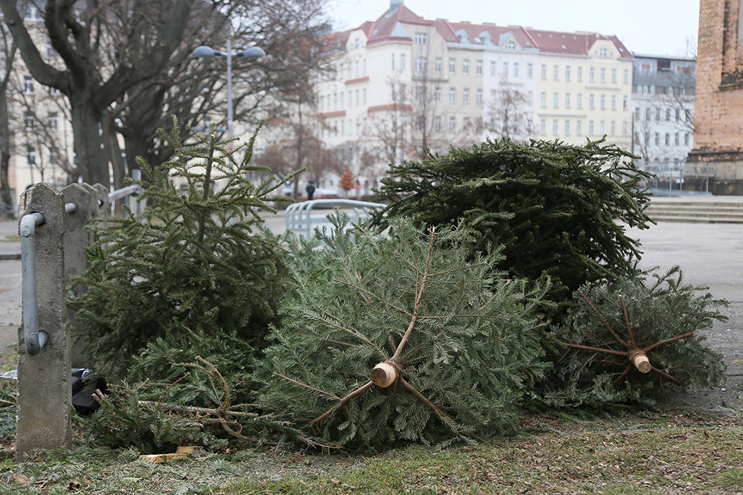 am ende der sackgasse photo