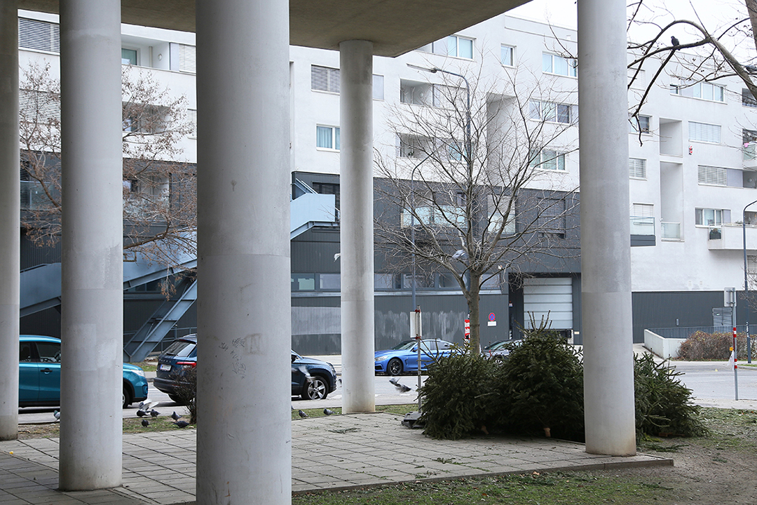 am ende der sackgasse photo