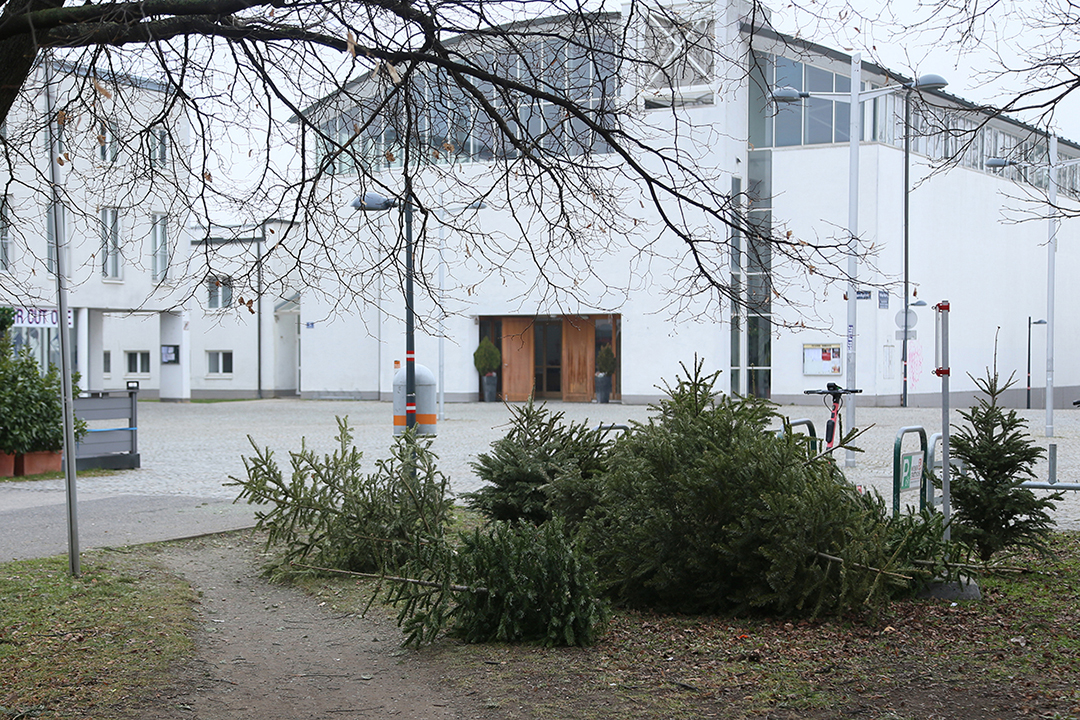 am ende der sackgasse photo