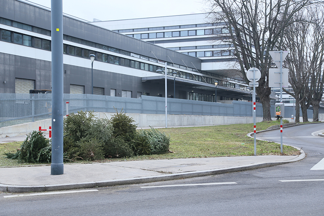 am ende der sackgasse photo