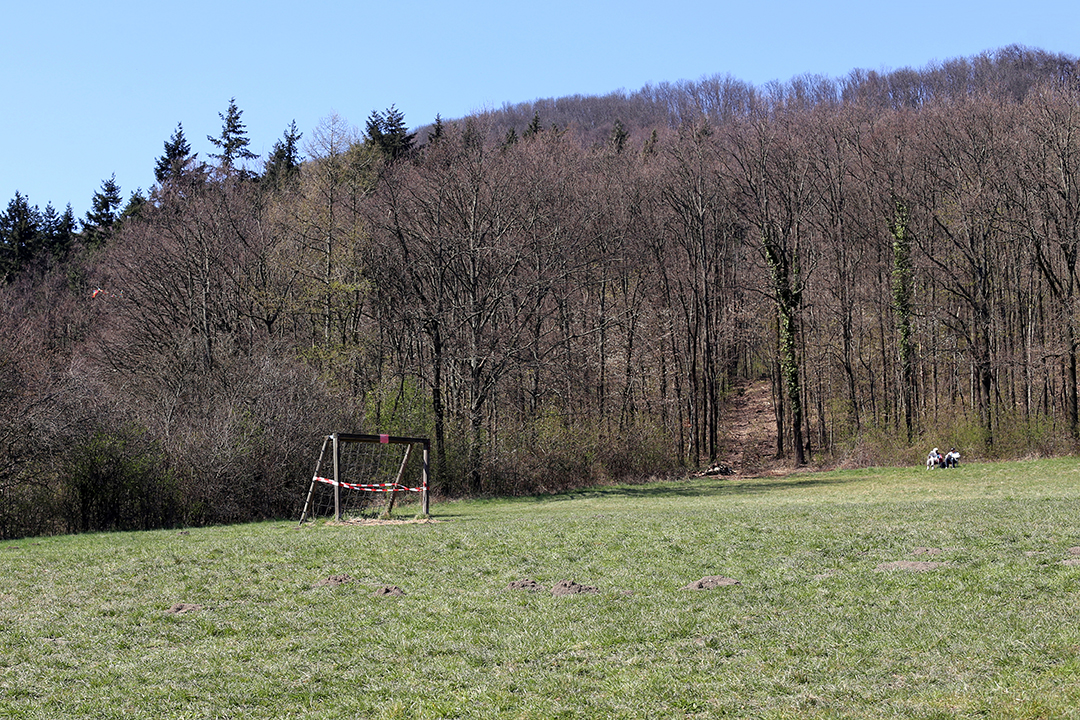 passiert was photography