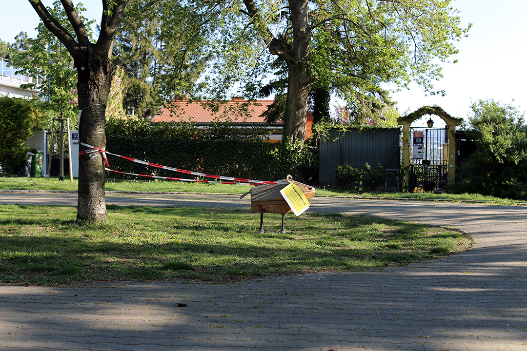 passiert was photography